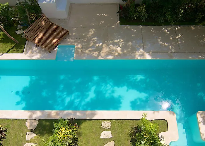 Livetulum 4*