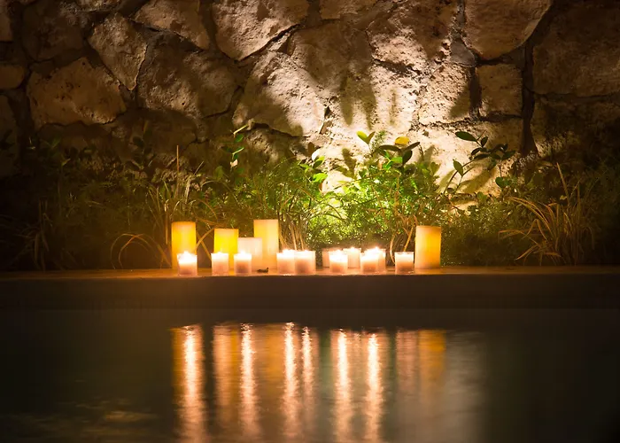 Livetulum 4*