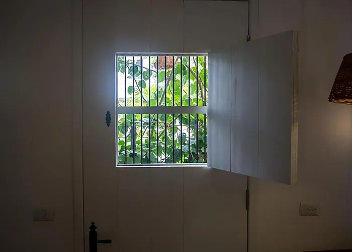 Livetulum 4*